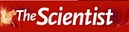 The Scientist The Scientist